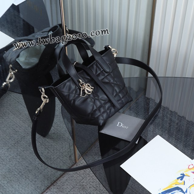 Dior专柜2025新款原厂皮手提包迪奥高仿原单黑色迷你toujours竖版手袋 djfk1838